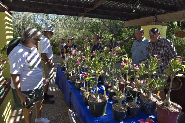 Plant Sale